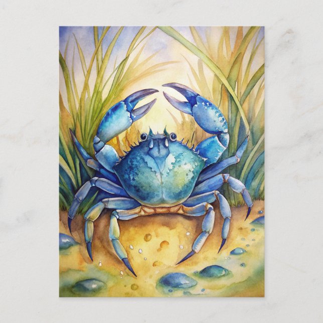 Carte Postale Peinture de vie océanique sur la plage côtière du  (Devant)