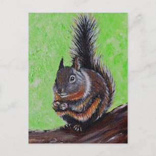 Carte Postale Peinture d'écureuil de Douglas 2