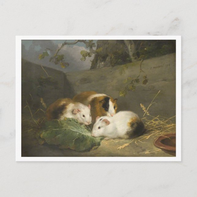 Carte Postale Peinture des cochons de Guinée par George Morland (Devant)