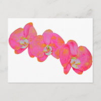Peinture d'orchidée rose