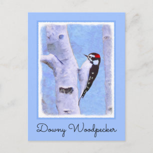 Carte Postale Peinture Downy Woodpecker - Art original pour oise
