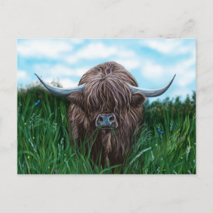 Carte Postale Peinture écossaise de la vache des Highlands