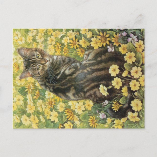 CARTE POSTALE PEINTURE EN CHAT (Devant)