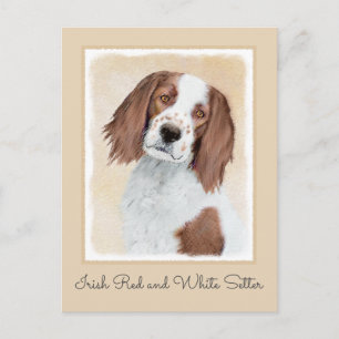 Carte Postale Peinture en Setter rouge et blanc irlandais - Art 