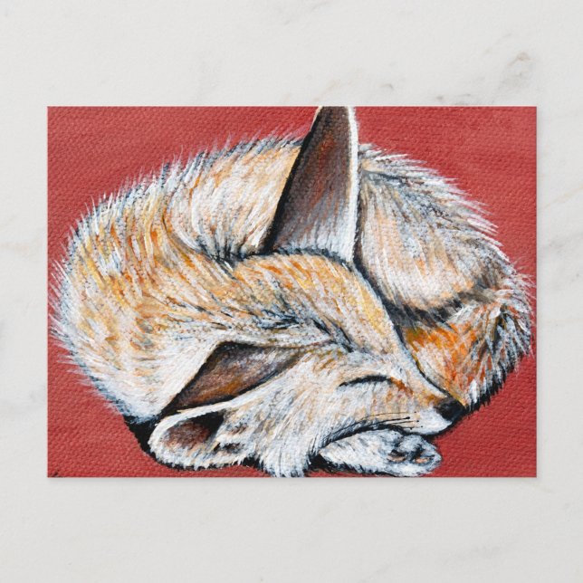 Carte Postale Peinture Fennec Fox (Devant)