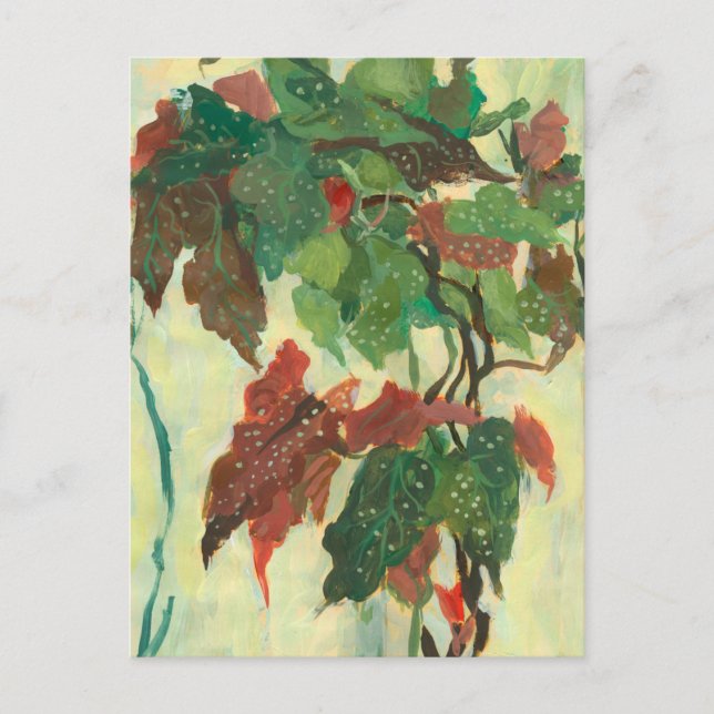Carte Postale Peinture florale de plante de jardin intérieur Beg (Devant)