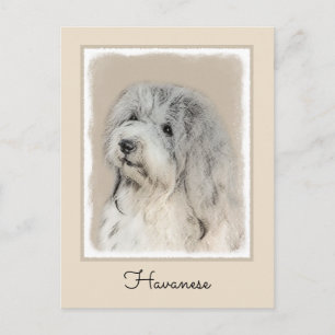 Carte Postale Peinture Havanaise (Gold Sable) - Art Chien origin