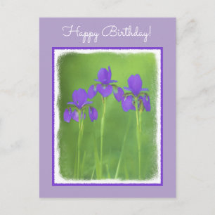 Carte Postale Peinture Iris Violet - Art Fleur Originale