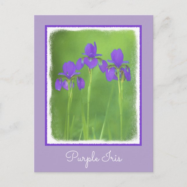 Carte Postale Peinture Iris Violet - Art Fleur Originale (Devant)