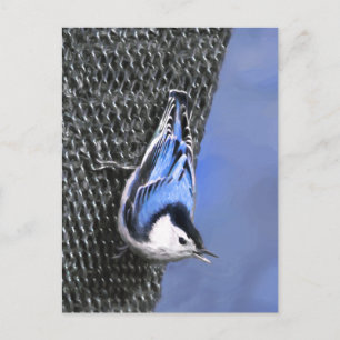 Carte Postale Peinture Nuthatch à poitrine blanche Art original