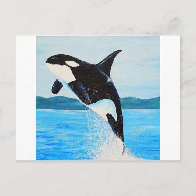 Carte Postale Peinture Orca (Devant)
