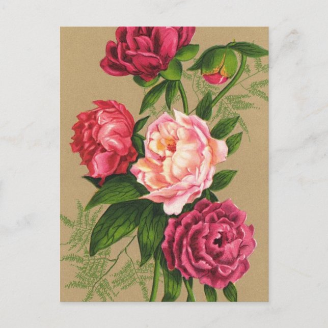 Carte Postale Peinture Roses Roses Rose Et Rouge (Devant)