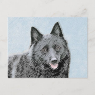 Carte Postale Peinture Schipperke - Cute Original Chien Art