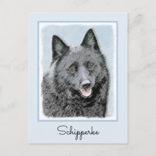 Carte Postale Peinture Schipperke - Cute Original Chien Art