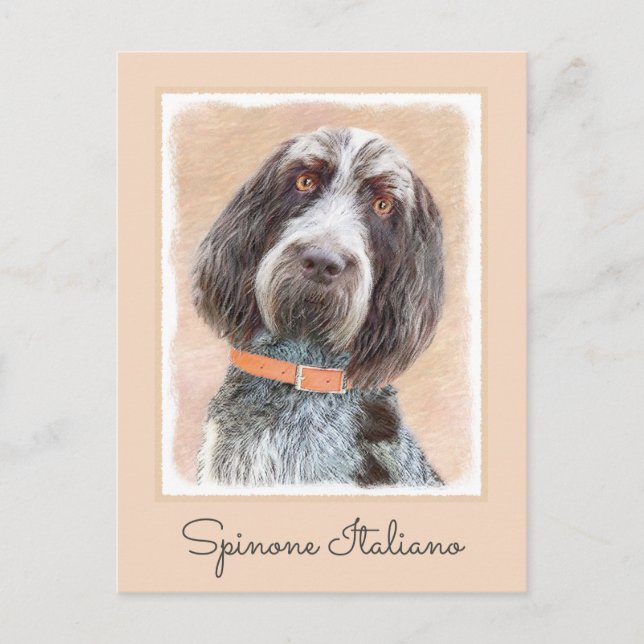 Carte Postale Peinture Spinone Italiano - Belle Art Original Chi (Devant)