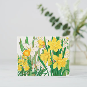 Carte Postale Peinture sur bois de narcisse