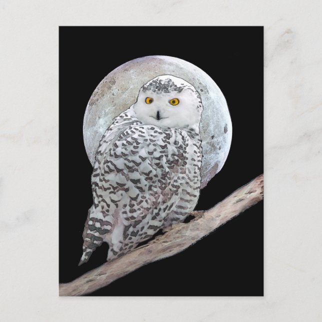 Carte Postale Peinture sur la Chouette neigeuse et la Lune - Art (Devant)