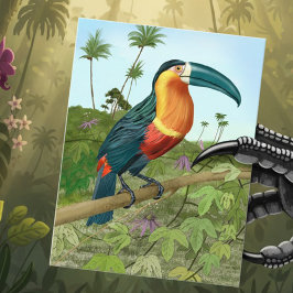 Carte Postale Peinture Toucan