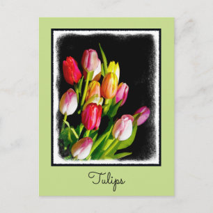 Carte Postale Peinture Tulip - Art Fleur original