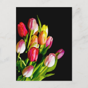 Carte Postale Peinture Tulip - Art Fleur original