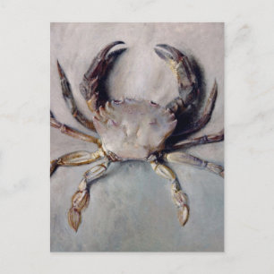 Carte Postale Peinture vintage de crabe
