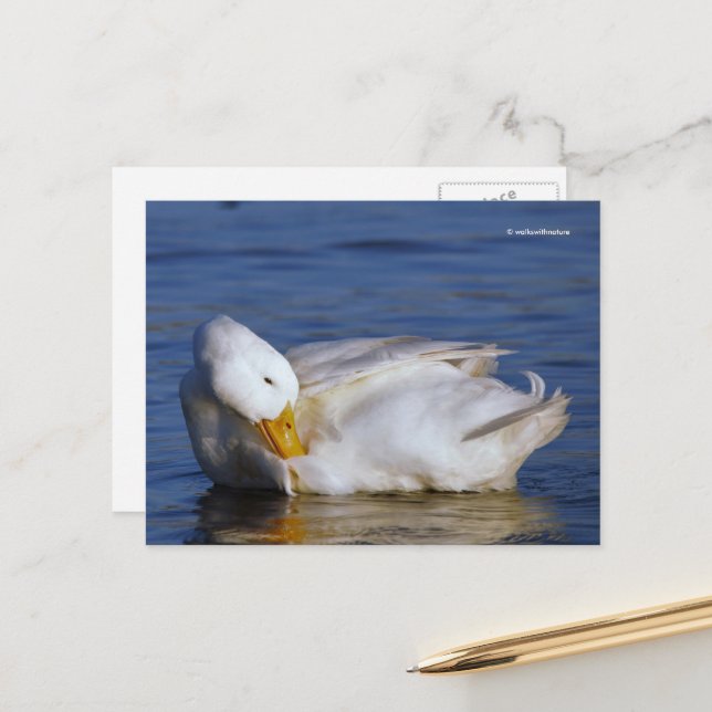 Carte Postale Pékin Canard souriant Mona Lisa sourire au soleil (Devant/Arrière en situation)