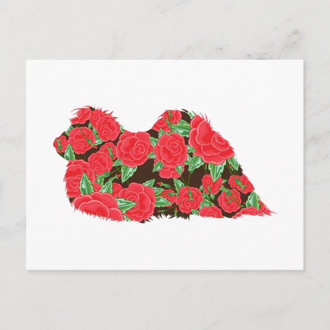 Carte Postale Pekingese (Devant)