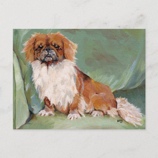 Carte Postale Pekingese (Devant)