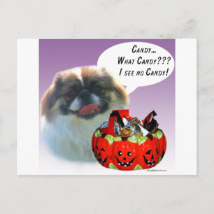 Carte Postale Pekingese Halloween Candy