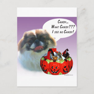 Carte Postale Pekingese Halloween Candy