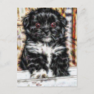 Carte Postale Pekingese mignon Chien chiot