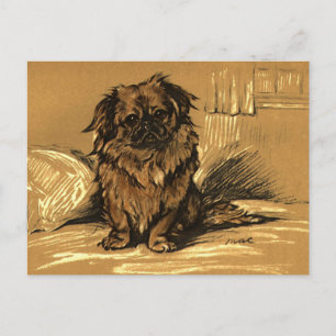 Carte Postale Pekingeses vintages