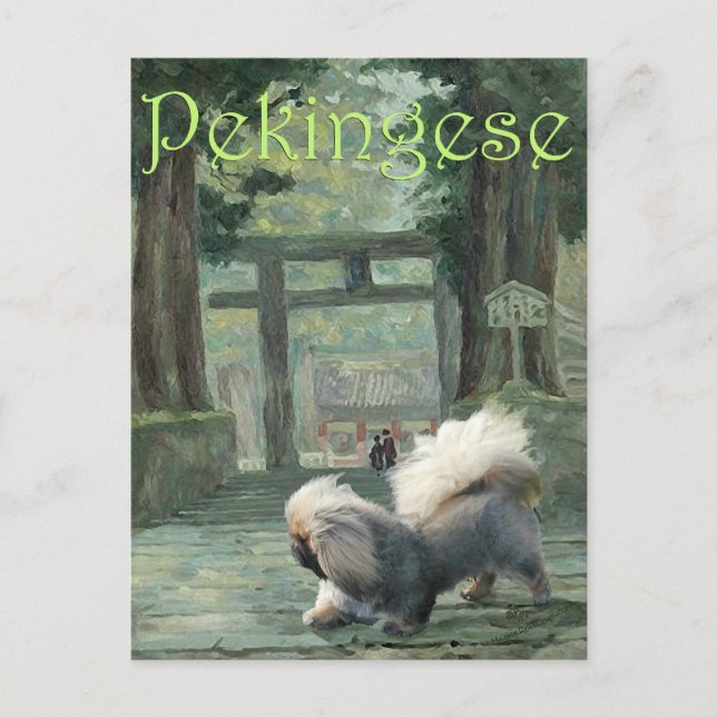 Carte Postale Pékinois à la Porte Orientale (Devant)