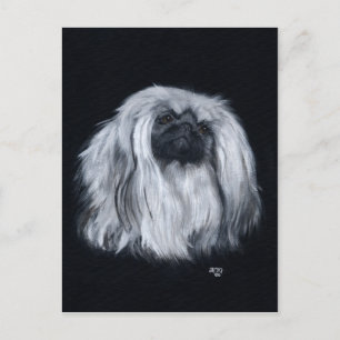 Carte Postale Pékinois Noir & Blanc