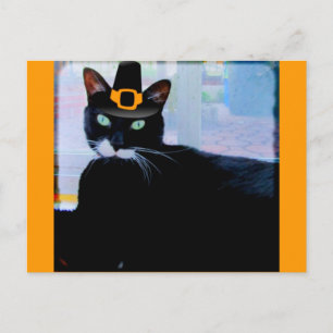 Carte Postale Pèlerin Lucy