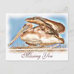 Carte Postale Pelican Await_