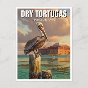 Carte Postale Pélican dans le parc national des Tortugas à sec