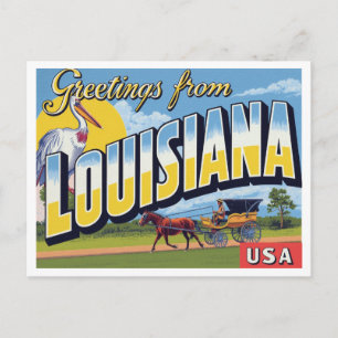 Carte Postale Pélican de calèche de Louisiane