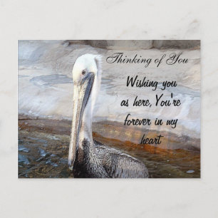 Carte Postale Pelican Love,-Occasions_