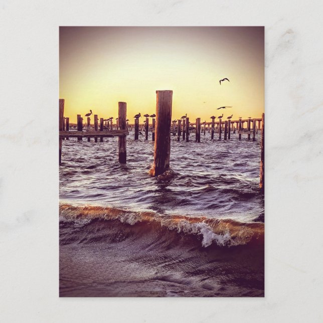 Carte Postale Pélicans au-dessus de la baie au coucher du soleil (Devant)