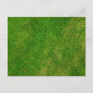 Carte Postale Pelouse