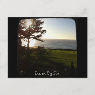 Carte Postale Pelouse avant à Esalen, Big Sur