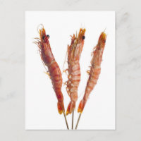 Pelouse de tigre grillée sur une brochette