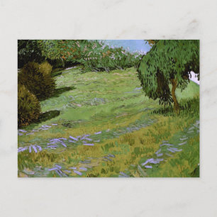 Carte Postale Pelouse ensoleillée dans le parc public Van Gogh A