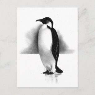 CARTE POSTALE PENGUIN À PENCIL : ART RÉALISME