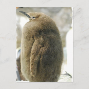 Carte postale Penguin bébé