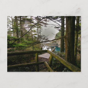 Carte Postale Péninsule olympique du sentier de la flatterie du 
