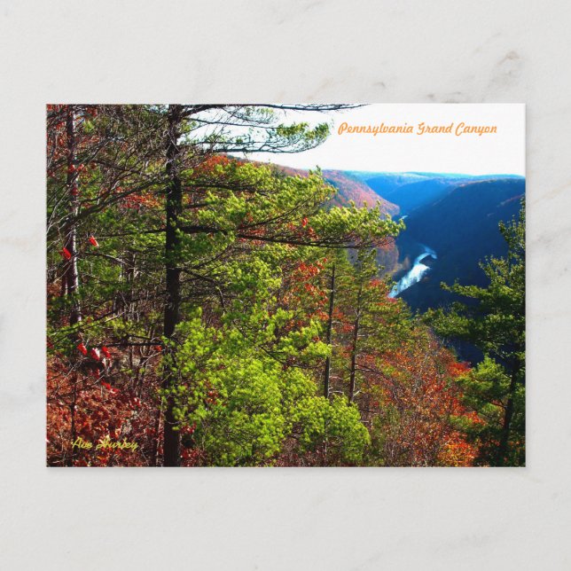 Carte Postale Pennsylvania Grand Canyon (Devant)