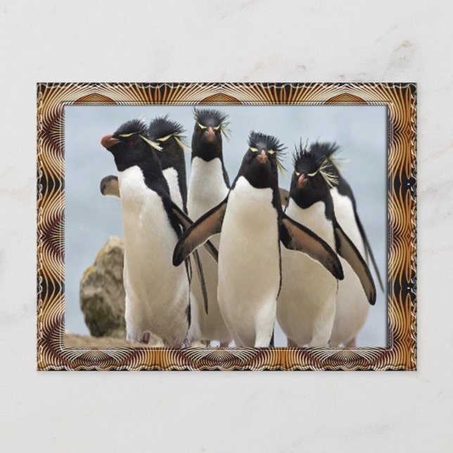 Carte Postale Penquin Walking (Devant)