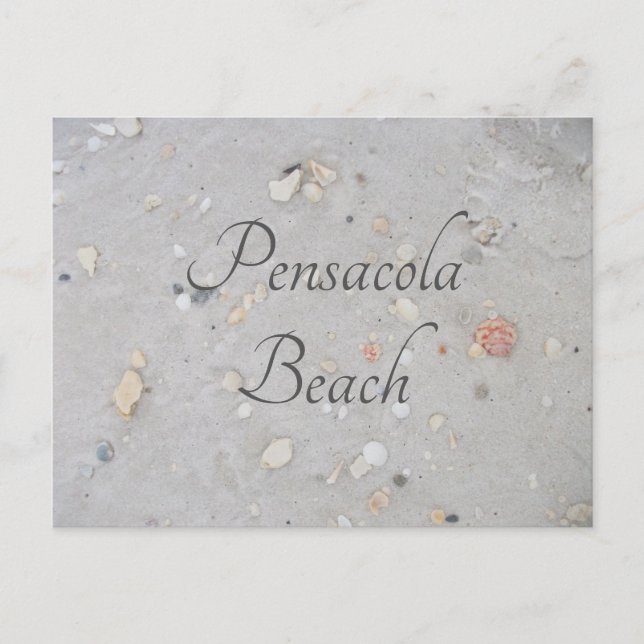Carte Postale Pensacola Beach Sand, Coques, Pensacola, FL (Devant)